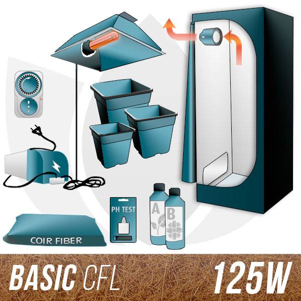 Kit CFL Cocco + Grow Box Allestita