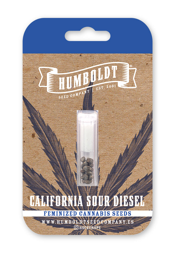 Semi  Humboldt Seed Company   California Sour Diesel  3, 5, 10