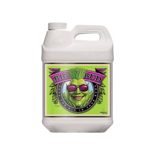 Fertilizzante  Advanced Nutrients  Big Bud  250ml